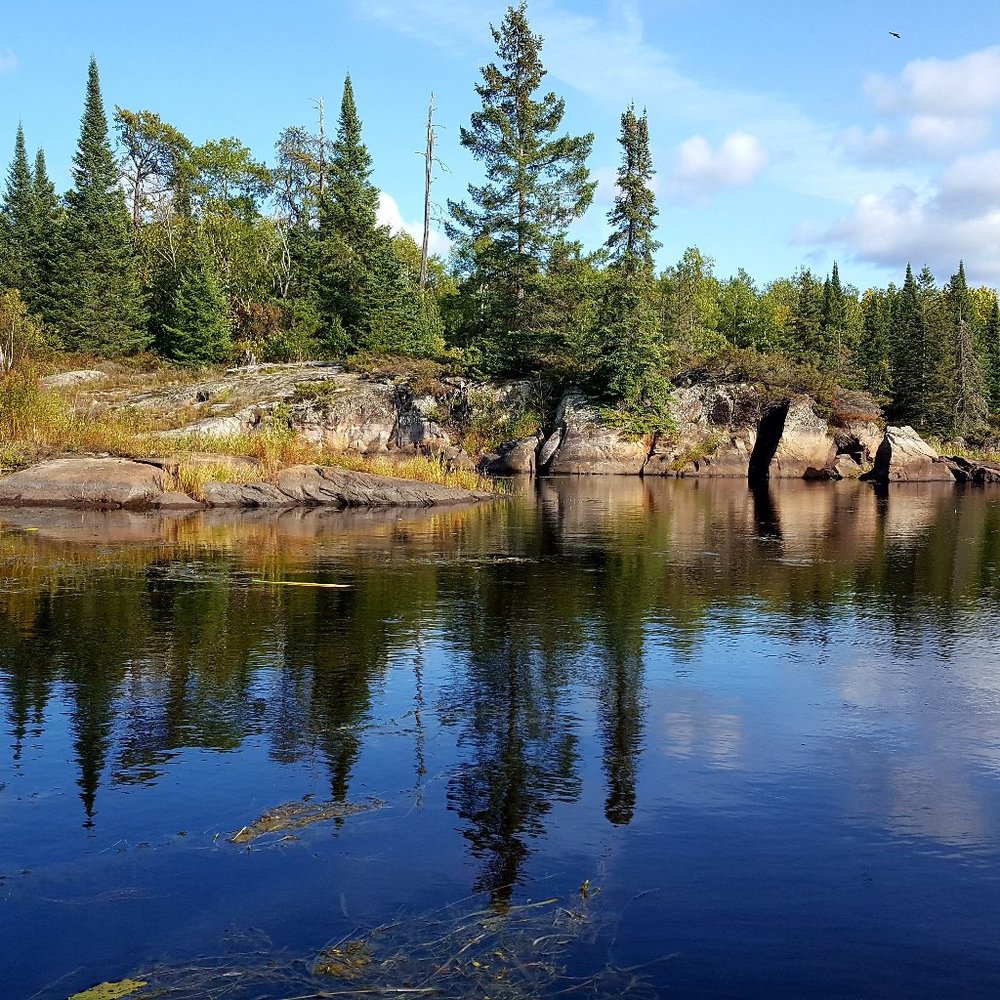 Meet your Posher, Jane
